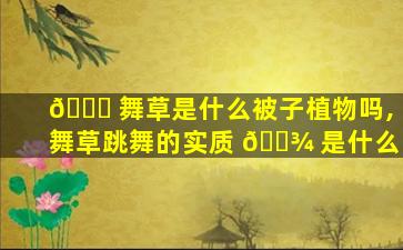 🐘 舞草是什么被子植物吗,舞草跳舞的实质 🌾 是什么